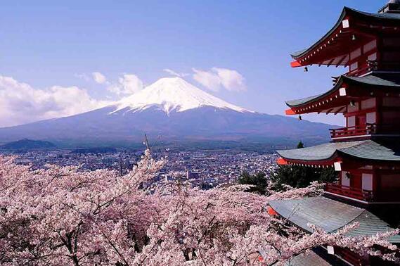 旅游網(wǎng)站建設方案策劃,旅游網(wǎng)站報價方案