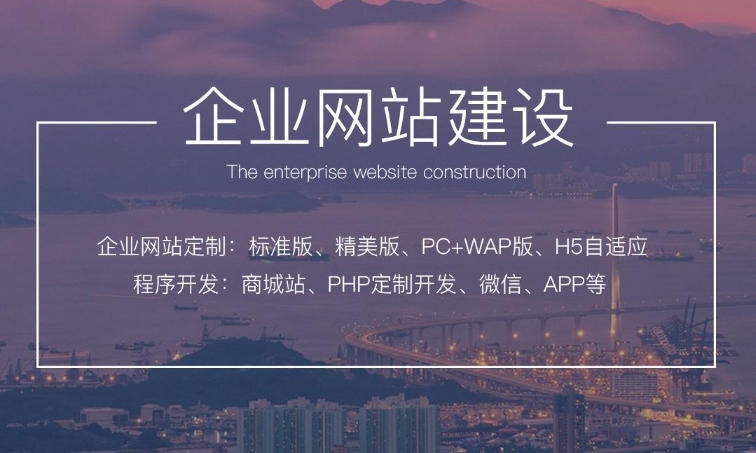 企業(yè)網(wǎng)站建設(shè)與推廣:多元化策略