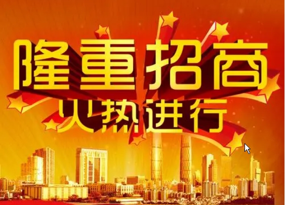 招商網站建設:連接商機、吸引投資的數字化路徑