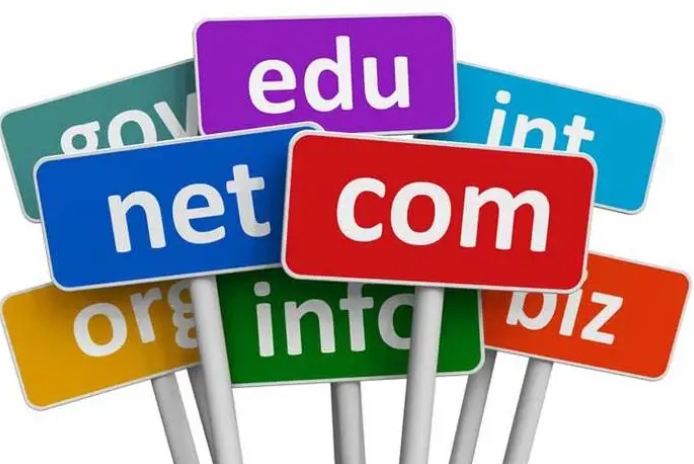 4字母域名:類型與申請要求解析